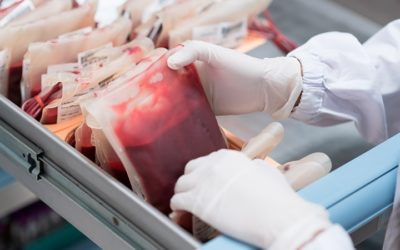 Banco de sangre: todo lo que debes saber