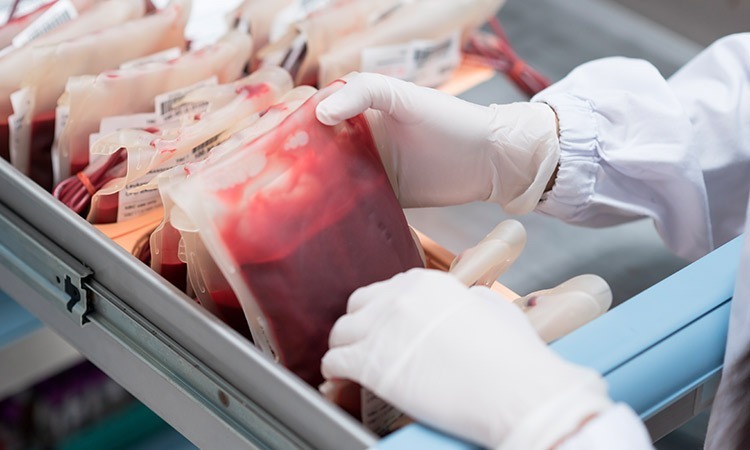 Banco de sangre: todo lo que debes saber