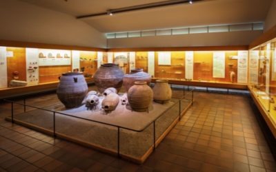 Cómo se financia un museo: fuentes de ingresos, subvenciones y estrategias de sostenibilidad
