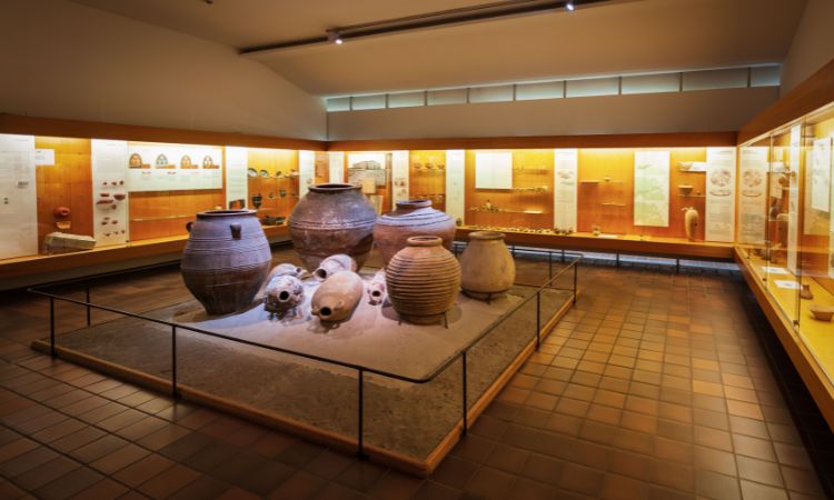Conoce cómo se financia un museo